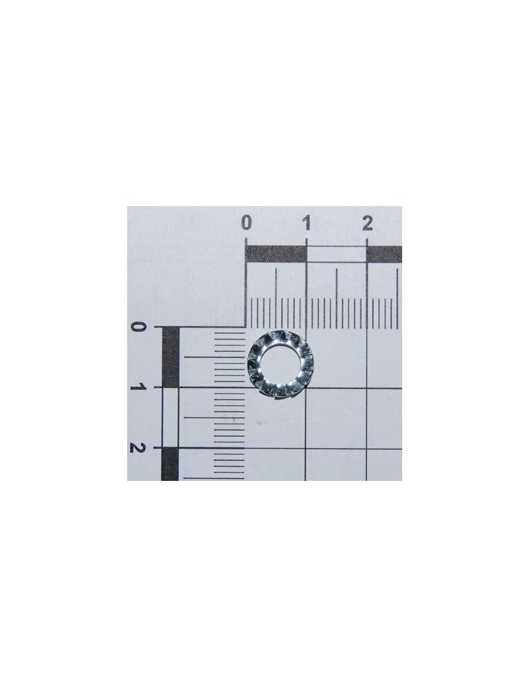 WASHER D6 DIN 6798 D.INT.GALV.