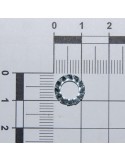 WASHER D6 DIN 6798 D.INT.GALV.