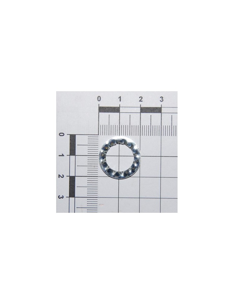 WASHER D12 DIN 6798 D.INT.ZN