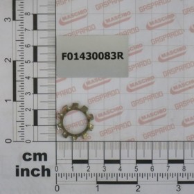 WASHER D14 DIN 6798 D.INT.ZN