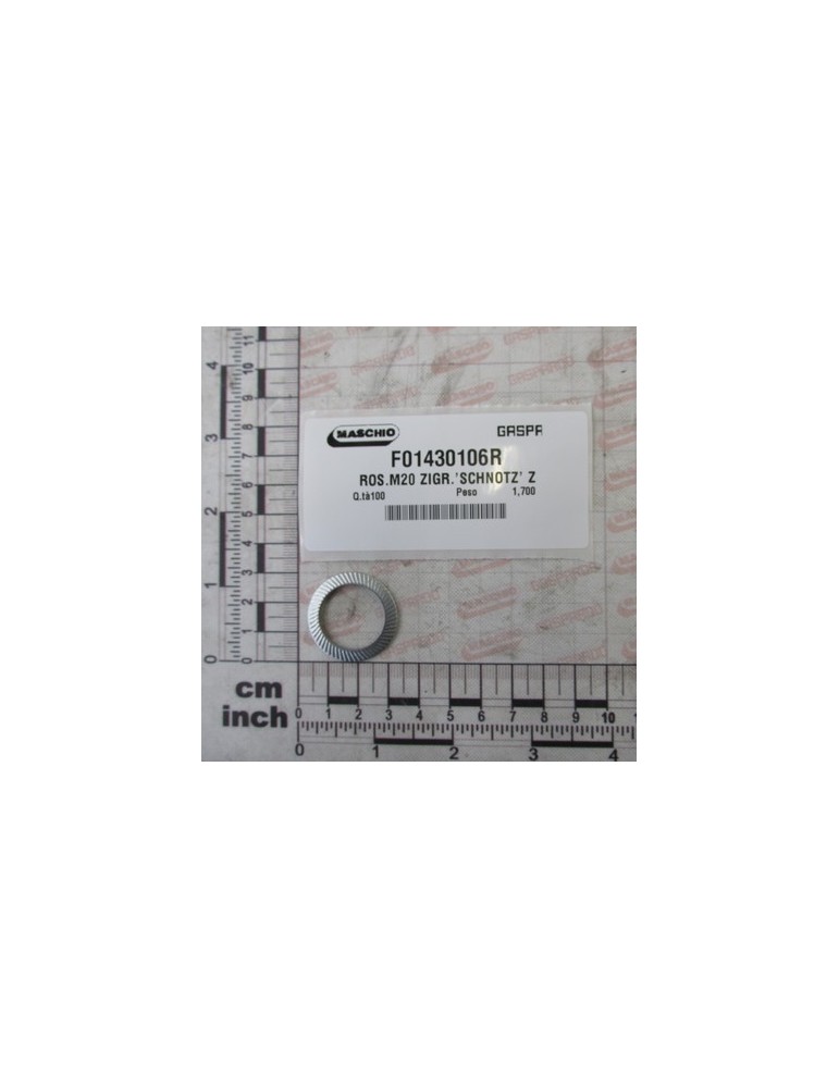 WASHER M20 ZIGR.\'SCHNOTZ\' Z