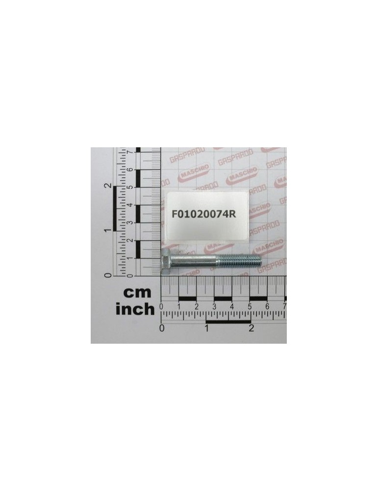 Maschio Gaspardo SURUB TE.10K.M8X50 UNI 5737 F01020074R