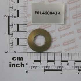 ELASTIC DISK