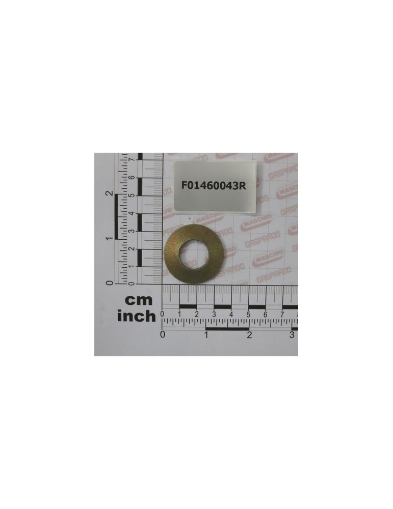 ELASTIC DISK