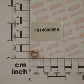 GROWER WASHER D.6