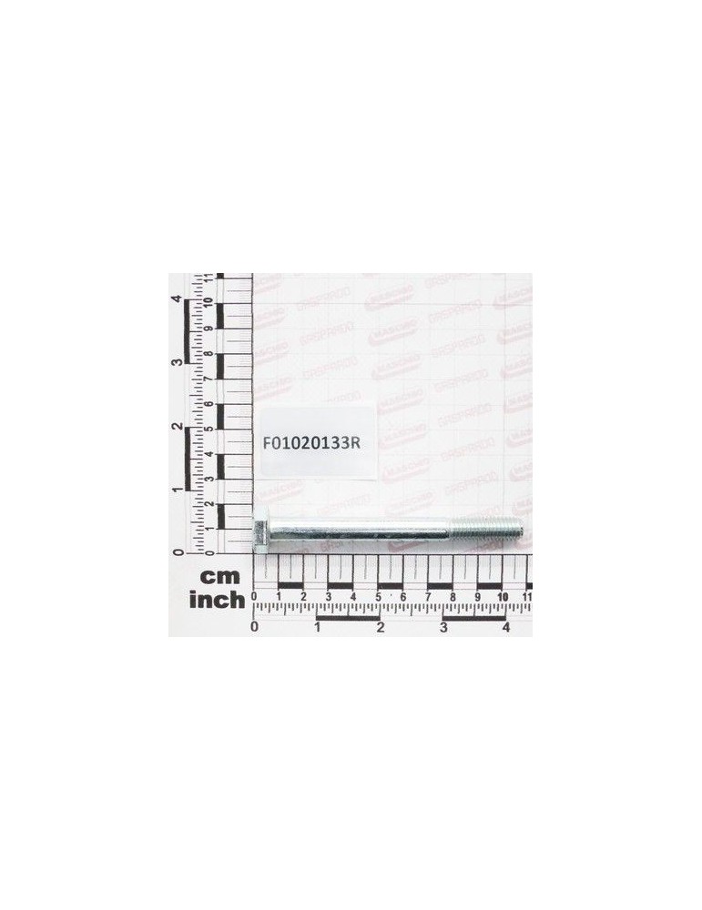 Maschio Gaspardo SURUB M10X1,5X100 U5737 8.8 ZN F01020133R