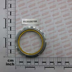 SELF LOCKING NUT M60X2