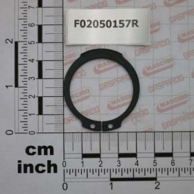 ANILLO SEEGER D.38