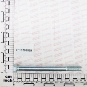 Maschio Gaspardo SURUB M12X1,75X160 5737 8.8 ZB F01020181R