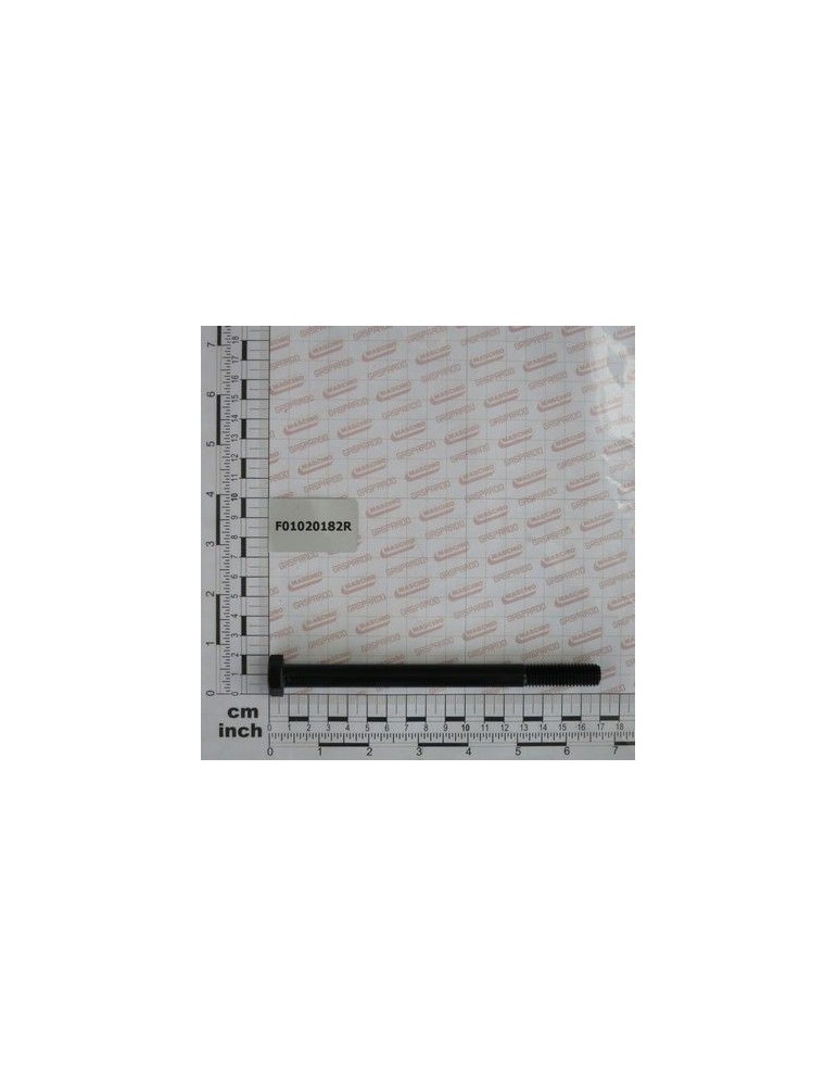 Maschio Gaspardo SURUB 12X160 5737 8.G F01020182R