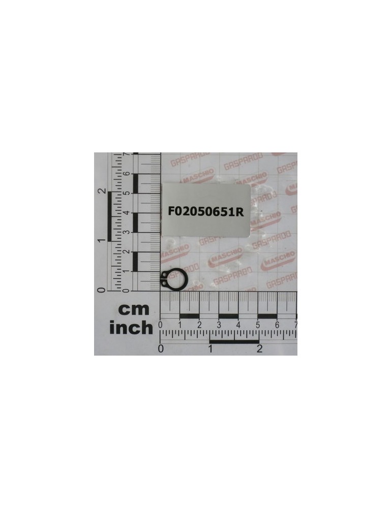SEEGER RING ARR.10 U7435-75