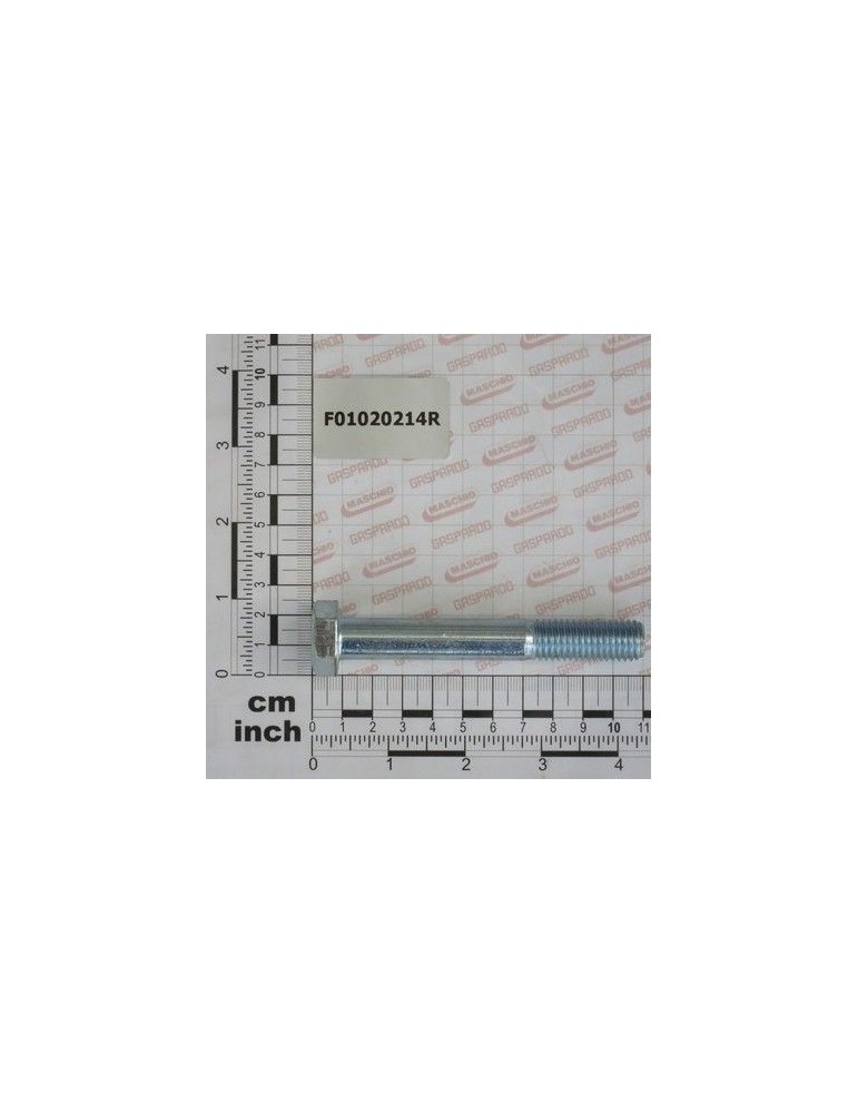 Maschio Gaspardo SURUB M14X2X100 U5737 8.8ZN F01020214R