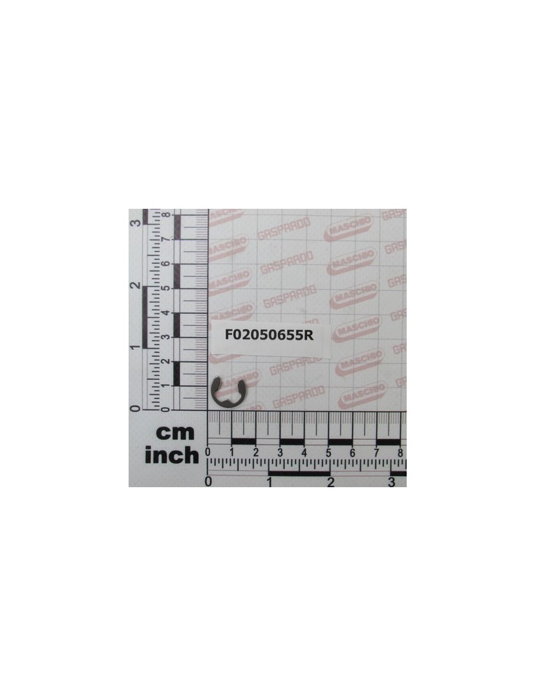 SEEGER E. 8 X1.1 U7434 A2