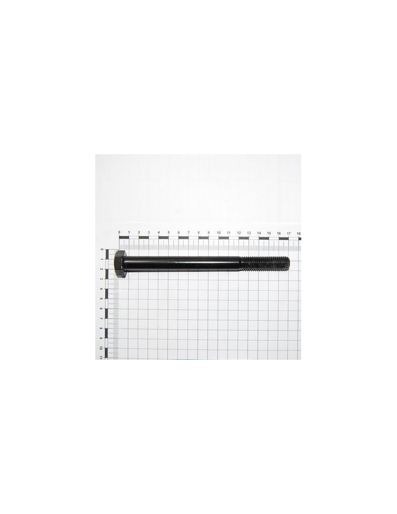 Maschio Gaspardo SURUB 14 X160 5737 8.G F01020225R