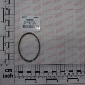 RING 50