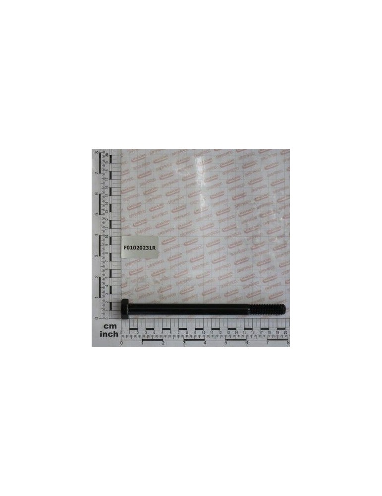 Maschio Gaspardo SURUB 14 X190 5737 8.G F01020231R