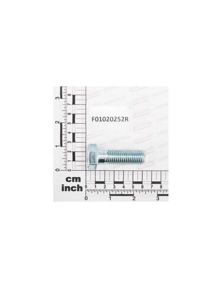 Maschio Gaspardo SURUB M16X2X50 U5737 8.8 ZN F01020252R