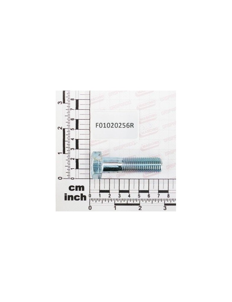 Maschio Gaspardo SURUB M16X 2X60 U5737 8.8 ZN F01020256R