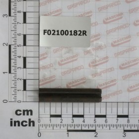 PIN 12X 55 U6873 C70 BR