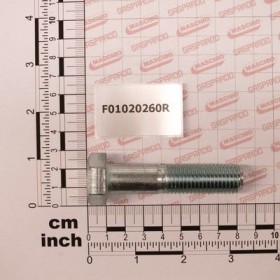 Maschio Gaspardo SURUB M16X2X70 U5737 8.8 ZN F01020260R