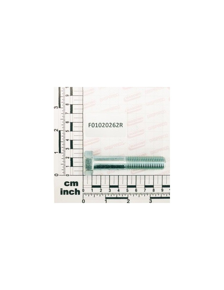 Maschio Gaspardo SURUB M16X 2X 80 U5737 8.8 ZN F01020262R