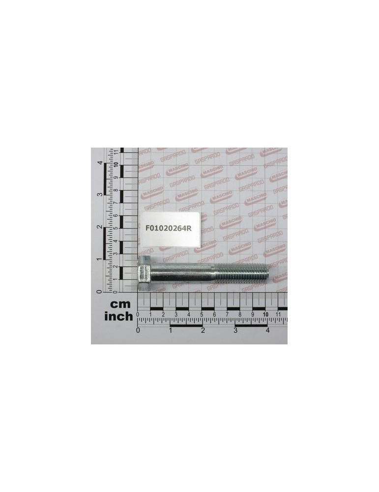 Maschio Gaspardo SURUB M16X2X90 5737 8.8 ZN F01020264R