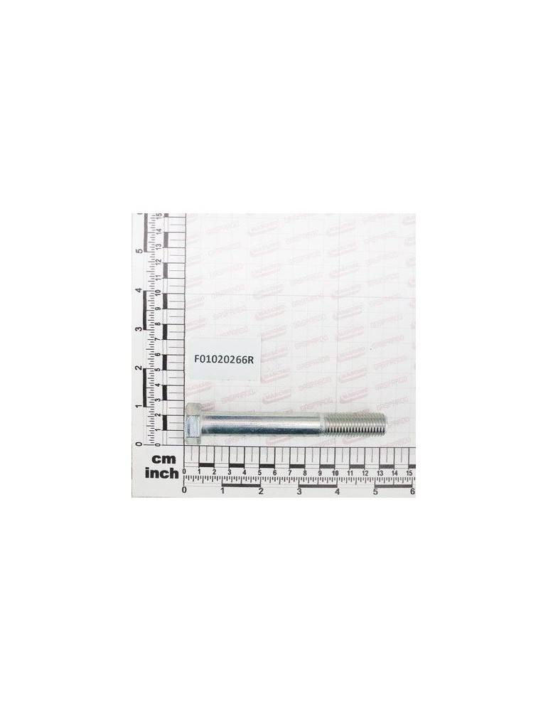 Maschio Gaspardo SURUB M16X2X120 U5737 8.8ZN F01020266R