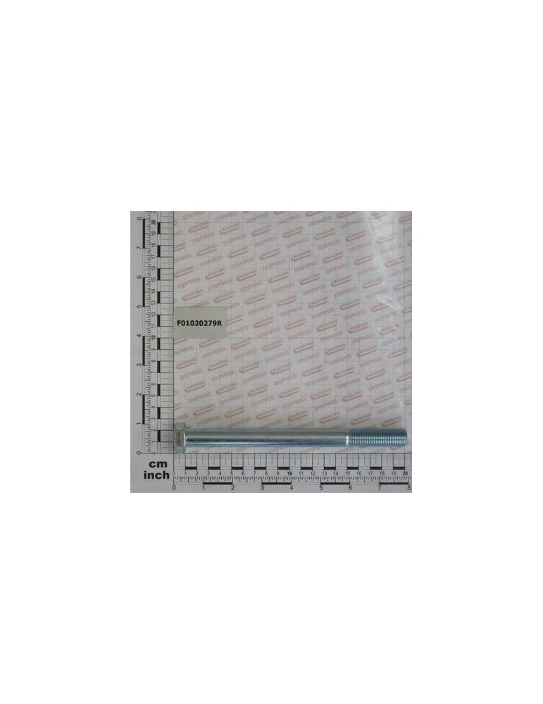 Maschio Gaspardo SURUB 16X2X190 U5737 10.9ZD F01020279R