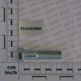 Maschio Gaspardo VITE M16X2X70 U5737 10.9ZD F01020288R