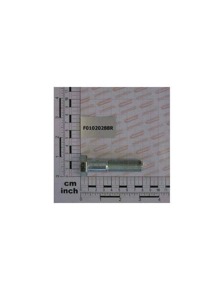 Maschio Gaspardo VITE M16X2X70 U5737 10.9ZD F01020288R