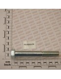 Maschio Gaspardo SURUB M20X2,5X150 U5737 8.8ZN F01020317R