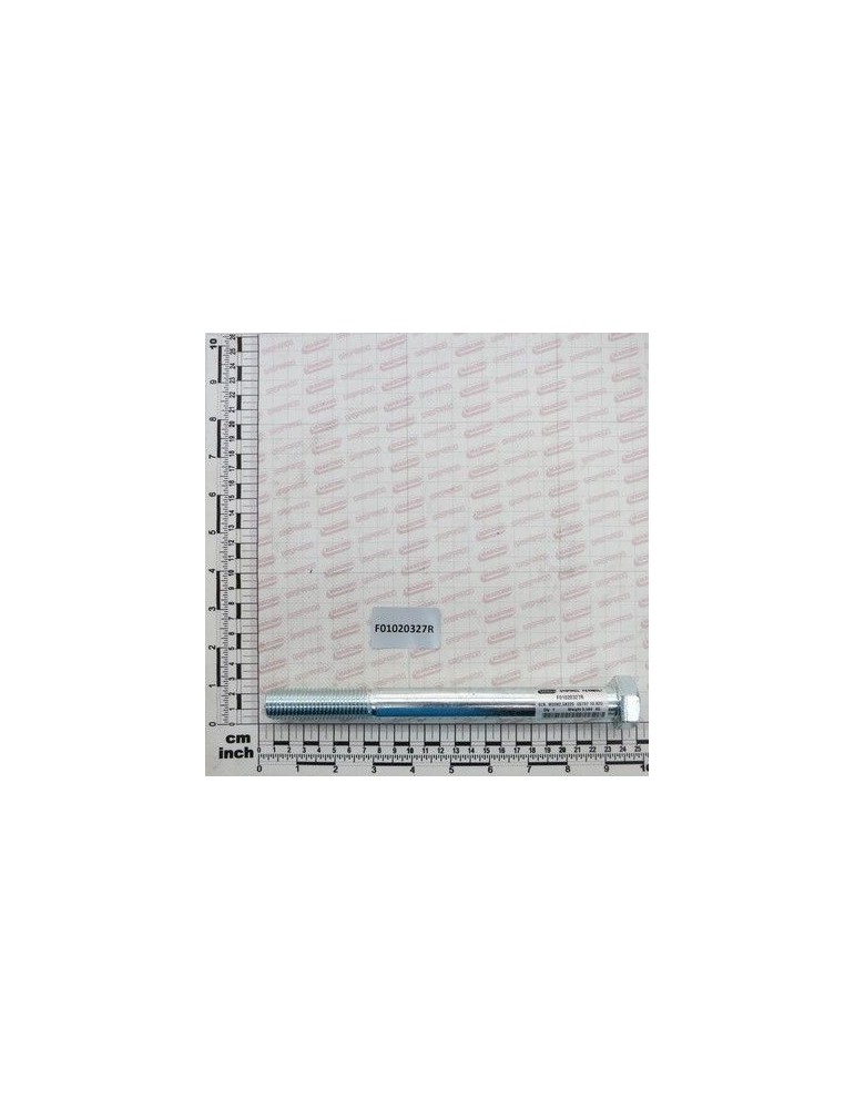 Maschio Gaspardo SUR. M20X2,5X220 U5737 10.9 ZB F01020327R