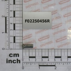 1 KG PACK RIVETS 5-4X16