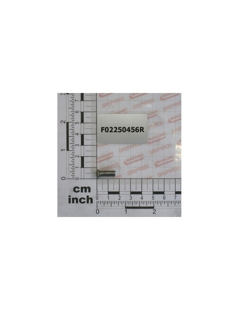 1 KG PACK RIVETS 5-4X16
