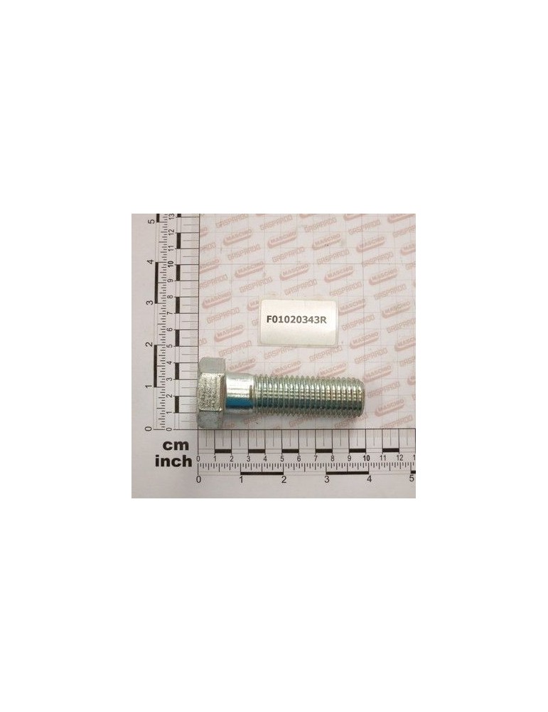 Maschio Gaspardo SURUB M24X3X80 U5737 10.9 ZN F01020343R