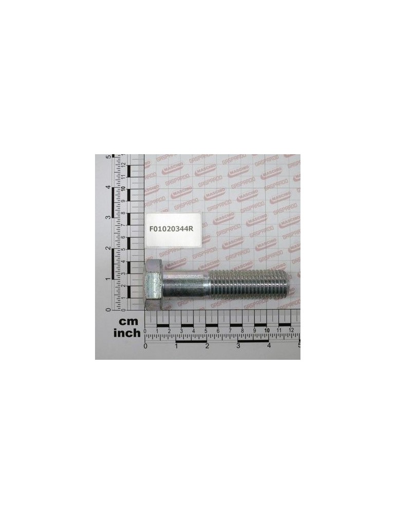 Maschio Gaspardo SURUB M24X100 U5737 10.9 ZN F01020344R