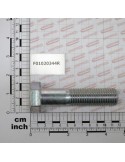 Maschio Gaspardo SURUB M24X100 U5737 10.9 ZN F01020344R