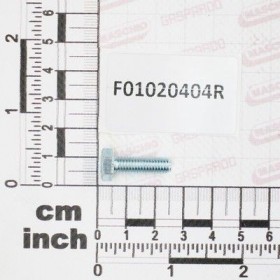 Maschio Gaspardo SURUB M6X1X20 U5739 8.8ZN F01020404R