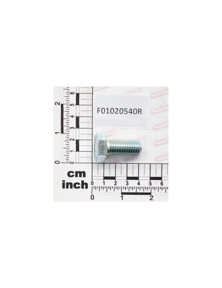 Maschio Gaspardo SURUB M14X2X30 U5739 8.8ZN F01020540R