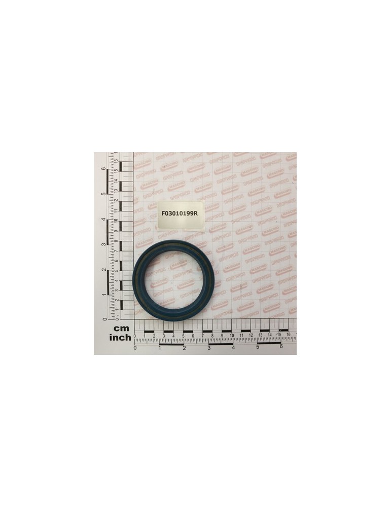 OIL SEAL 60X80X10