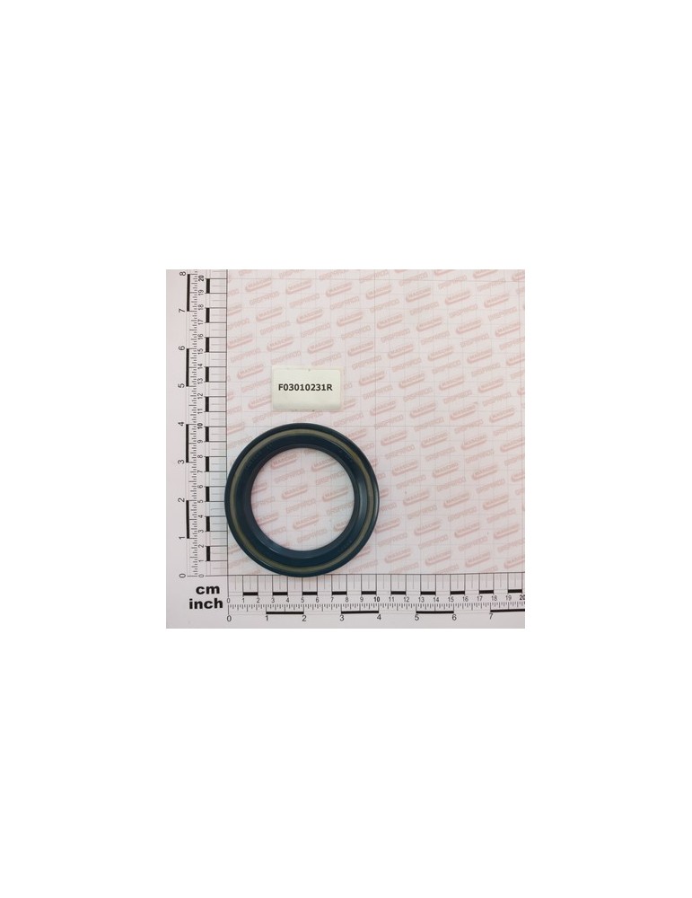 OIL SEAL 70X100X10
