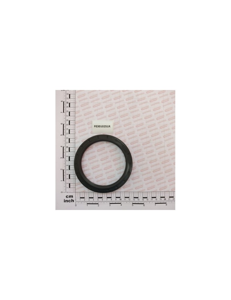 OIL SEAL 100X125X10