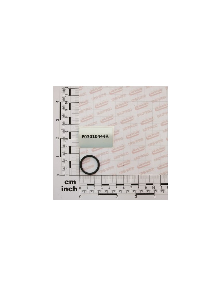 GASKET OR  21,89X2,62 VIT