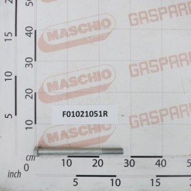 Maschio Gaspardo SUR. M20X2,5X260 U5737 8.8GE F01021051R