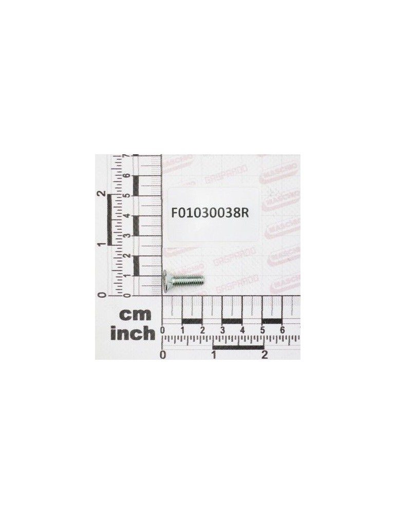 Maschio Gaspardo SURUB M6X1X20 U5933 10.9ZD F01030038R