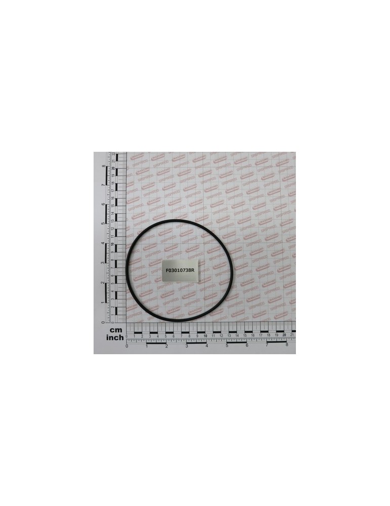 GASKET OR 126,59X353  NBR