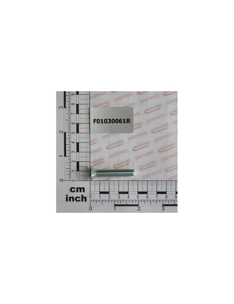 Maschio Gaspardo SURUB M8X1,25X45 U5933 8.8 ZB F01030061R