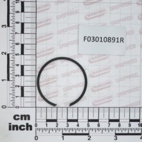 RING 4591002