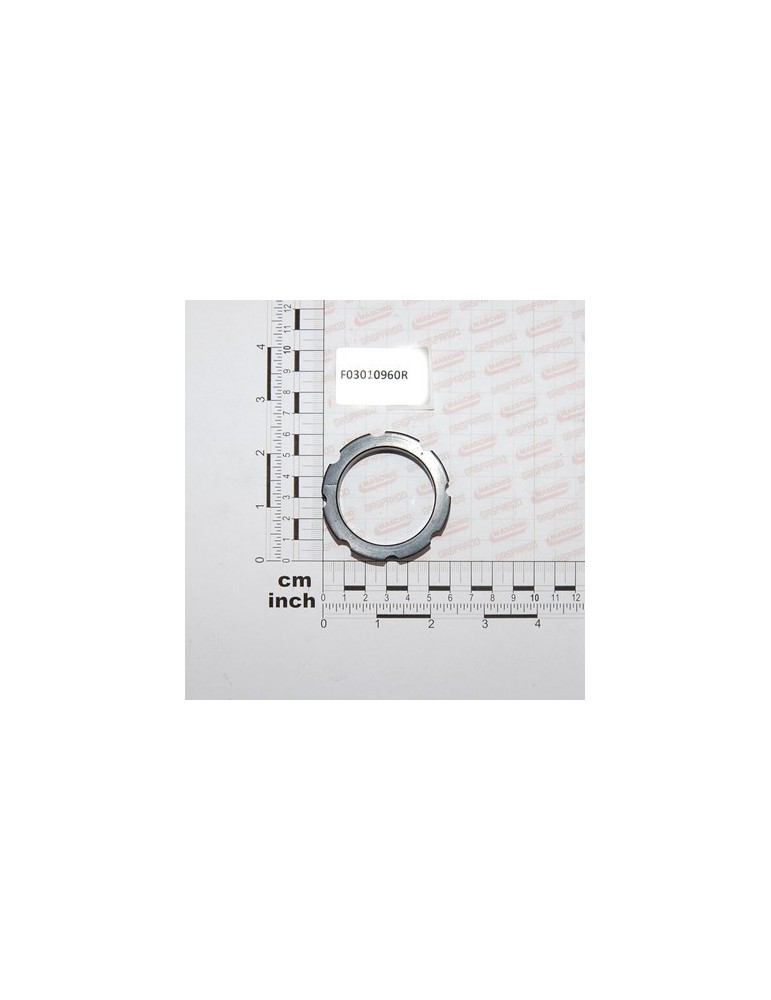 WP RING 604516
