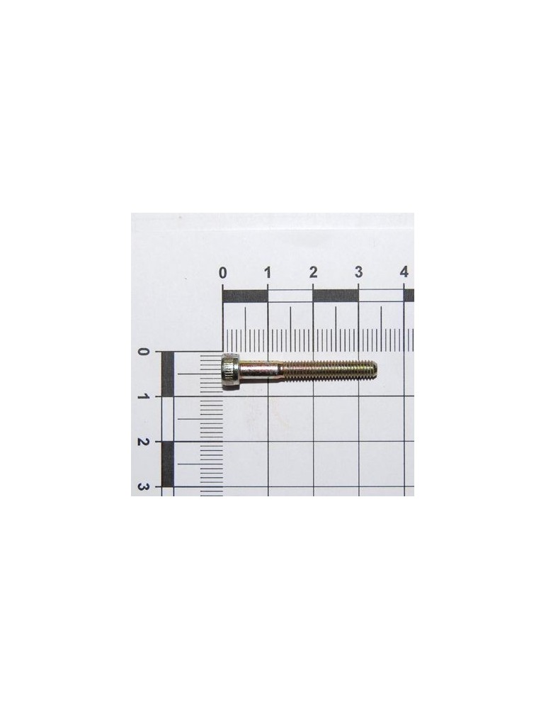 Maschio Gaspardo SURUB M4X0,7X35 U5931 12.9ZF F01040030R